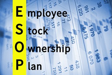 Read more about the article Company Stock Ownership Risks Typically Outweigh The Reward